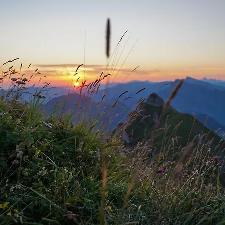 דירה Gaestehaus Graf *