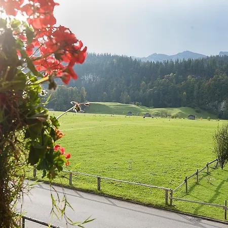 Apartament Gaestehaus Graf *