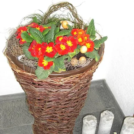 Gaestehaus Graf Apartment Bezau